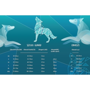 Szelki Guard Classic 25mm Cyber Dog